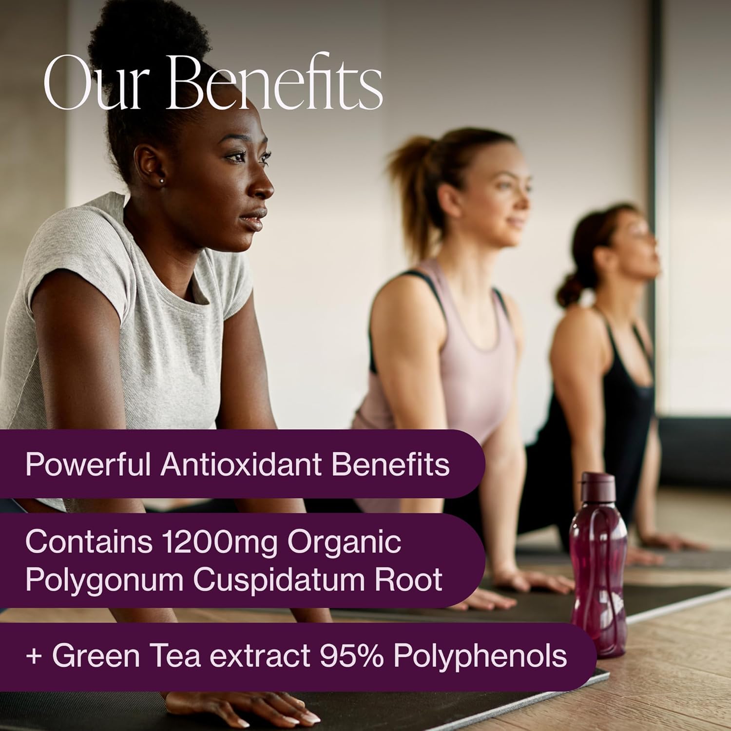Organic Resveratrol Supplement – Trans-Resveratrol Capsules With Green Tea & Black Pepper – Highly Purified & Bioavailable - 90 Vegan Caps : Health & Household