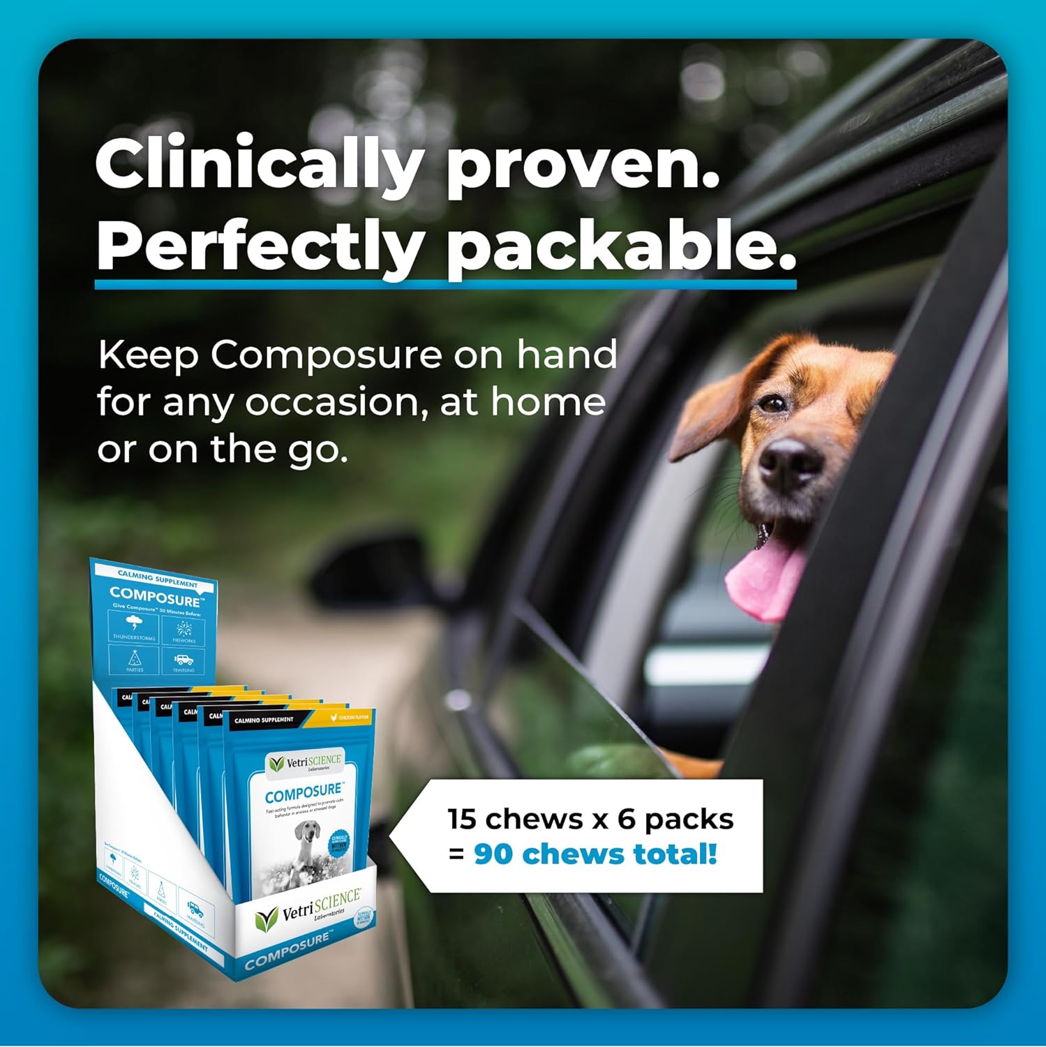 VETRISCIENCE Composure Clinically Proven Calming Chews, Chicken, Six 15-Chew Packs : Pet Supplies