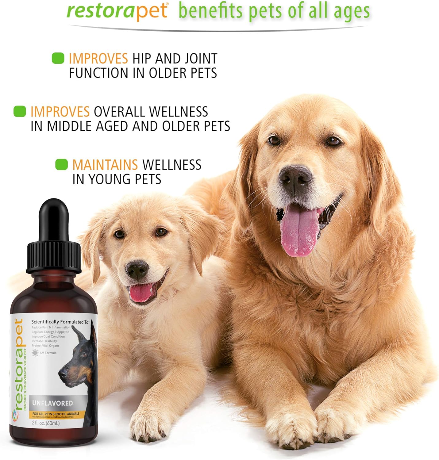 RestoraPet 1-Pack Dog & Cat Beef Liquid Multivitamin | Dog Arthritis Pain Relief | Hip & Joint Vitamins for Dogs - Anti Inflammatory Supplement for Dogs & Cats | Organic & Non-GMO, Vet Approved : Pet Supplies
