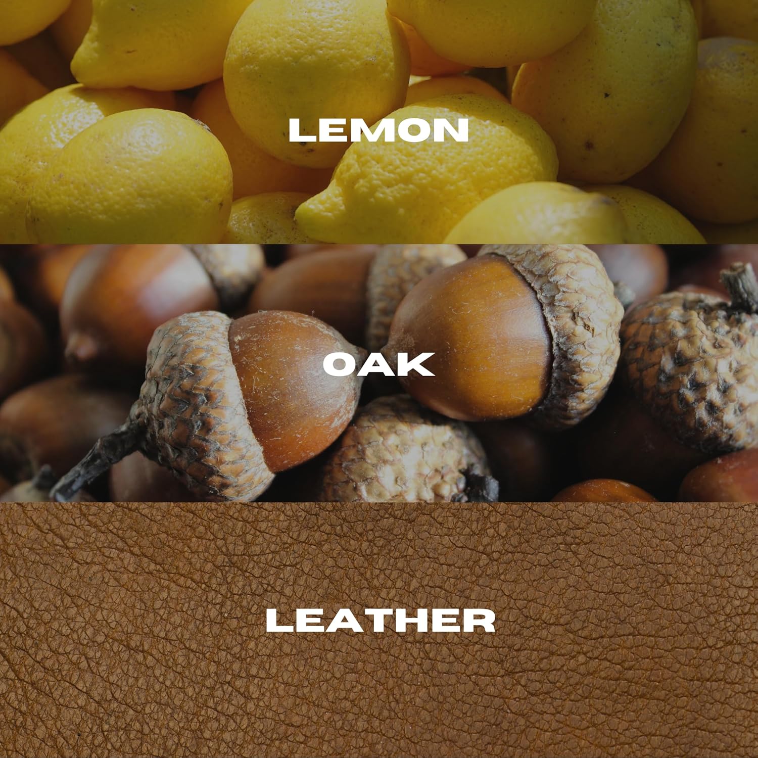ManCave Lemon & Oak Fragrance Spray, Eau De Toilette for Men, 50ml, Woody Mens Perfume with Citrus, Aftershave Gift for Him, UK Formulated EDT Fragrance : Amazon.co.uk: Beauty