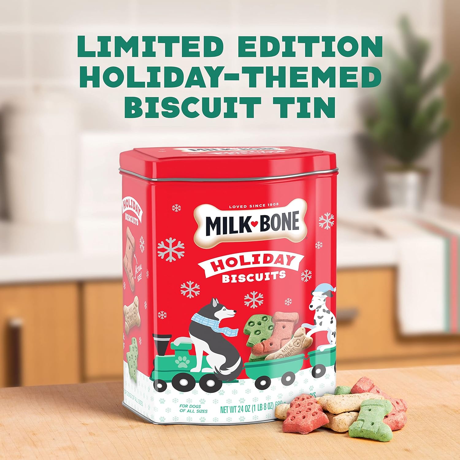 Milk-Bone Limited Edition Holiday Dog Treats, Small Biscuits, 24 Ounce Reusable Tin : Pet Supplies