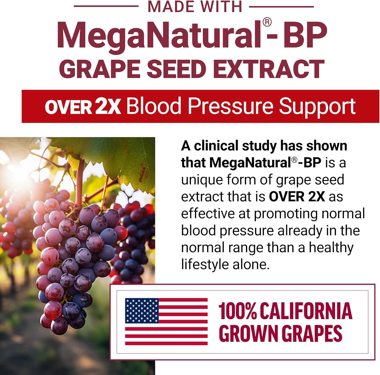 FORCE FACTOR Total Beets Blood Pressure Support Supplement, Beets Supplements with Beets Powder, Great-Tasting Beets Chewables for Heart-Healthy Energy, and Increased Nitric Oxide, 120 Chews, 2-Pack : Health & Household