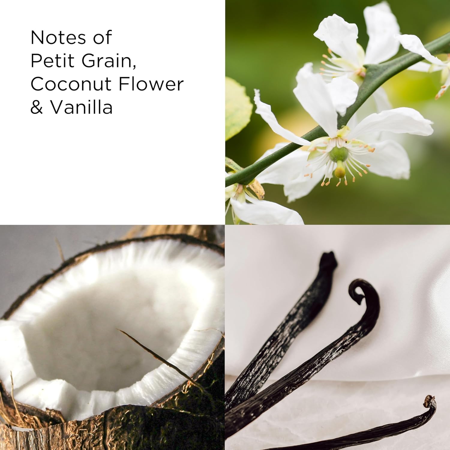 Elizabeth Arden Sunflowers Golden Vibe Women'S Perfume, Floral Parfum, Notes Of Vanilla, Petit Grain, & Coconut Flower, Eau De Toilette, 3.3 Fl Oz : Beauty & Personal Care