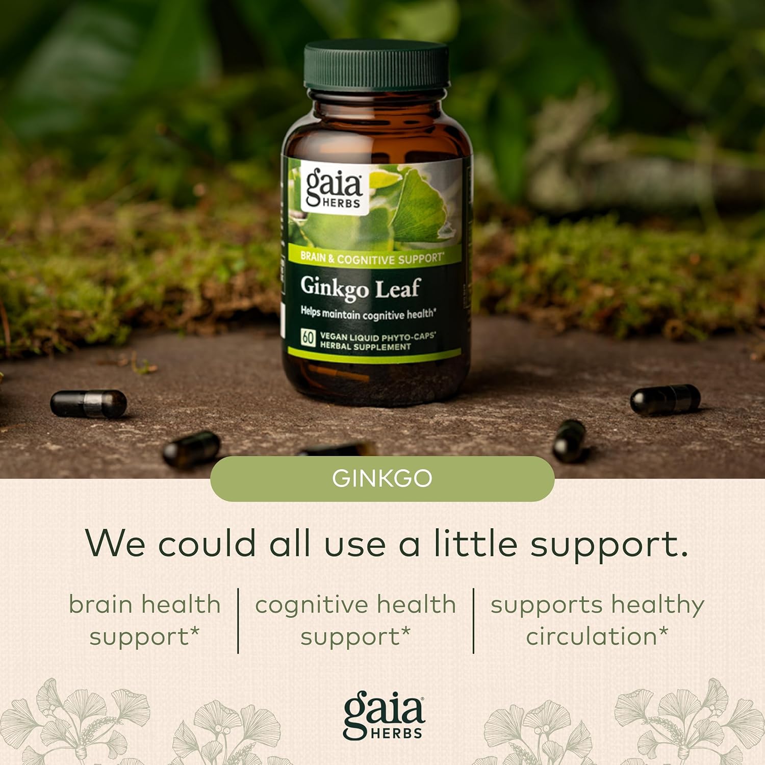 Gaia Herbs Ginkgo Leaf - Traditionally Used to Support Healthy Circulation and Brain Function - Organic, Herbal Supplement - 60 Vegan Liquid Phyto-Capsules (20-Day Supply) : Health & Household