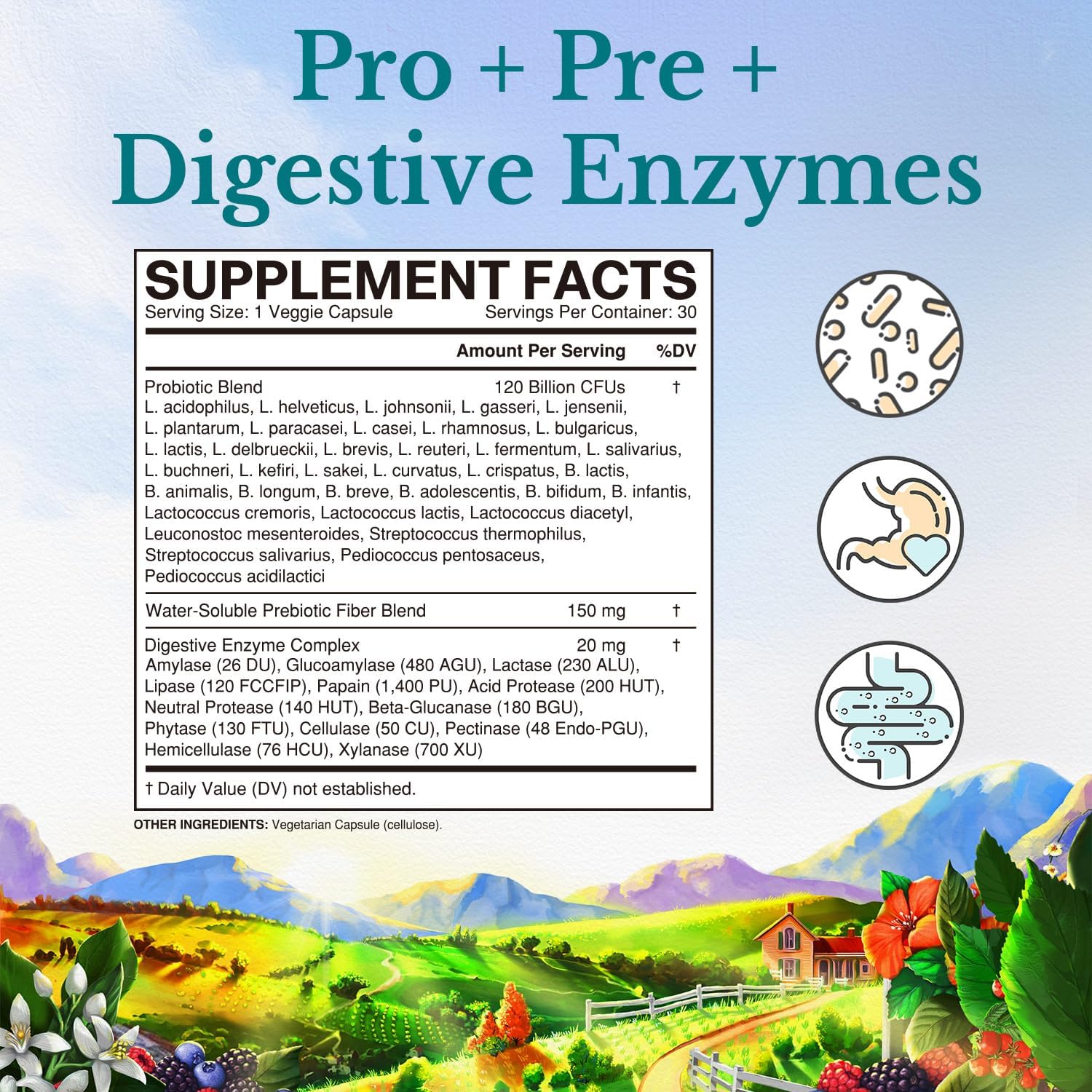Built By Nature Apple Cider Vinegar Capsules 1877Mg With Vitamin D And Zinc – Immune & Digestion Support – Acetic Acid Acv Supplement For Men And Women - 60 Pills