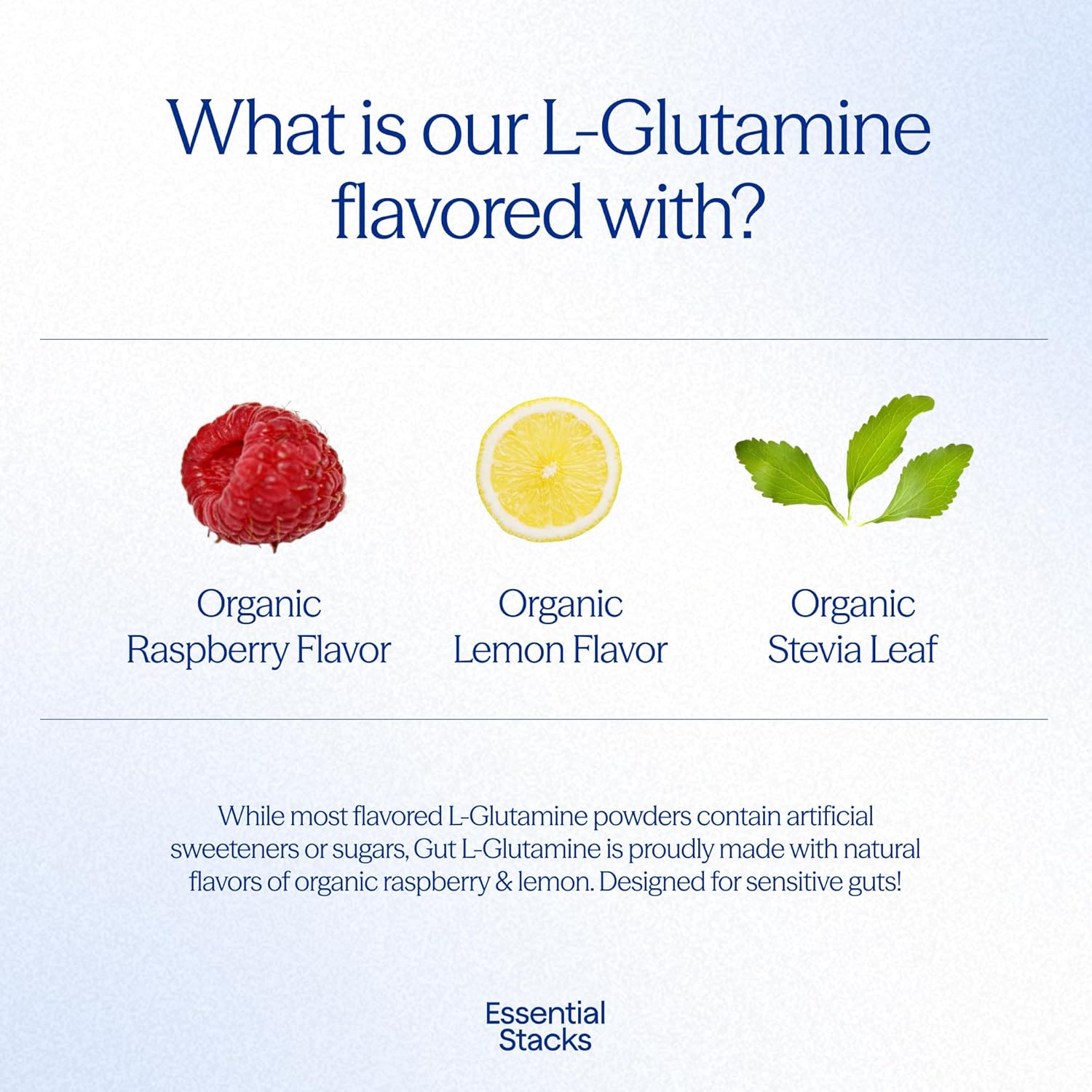 Essential Stacks Gut L-Glutamine Powder - Exclusively Made In Usa - Pure L Glutamine Powder For Gut Health (50 Servings, Raspberry Lemonade) : Health & Household