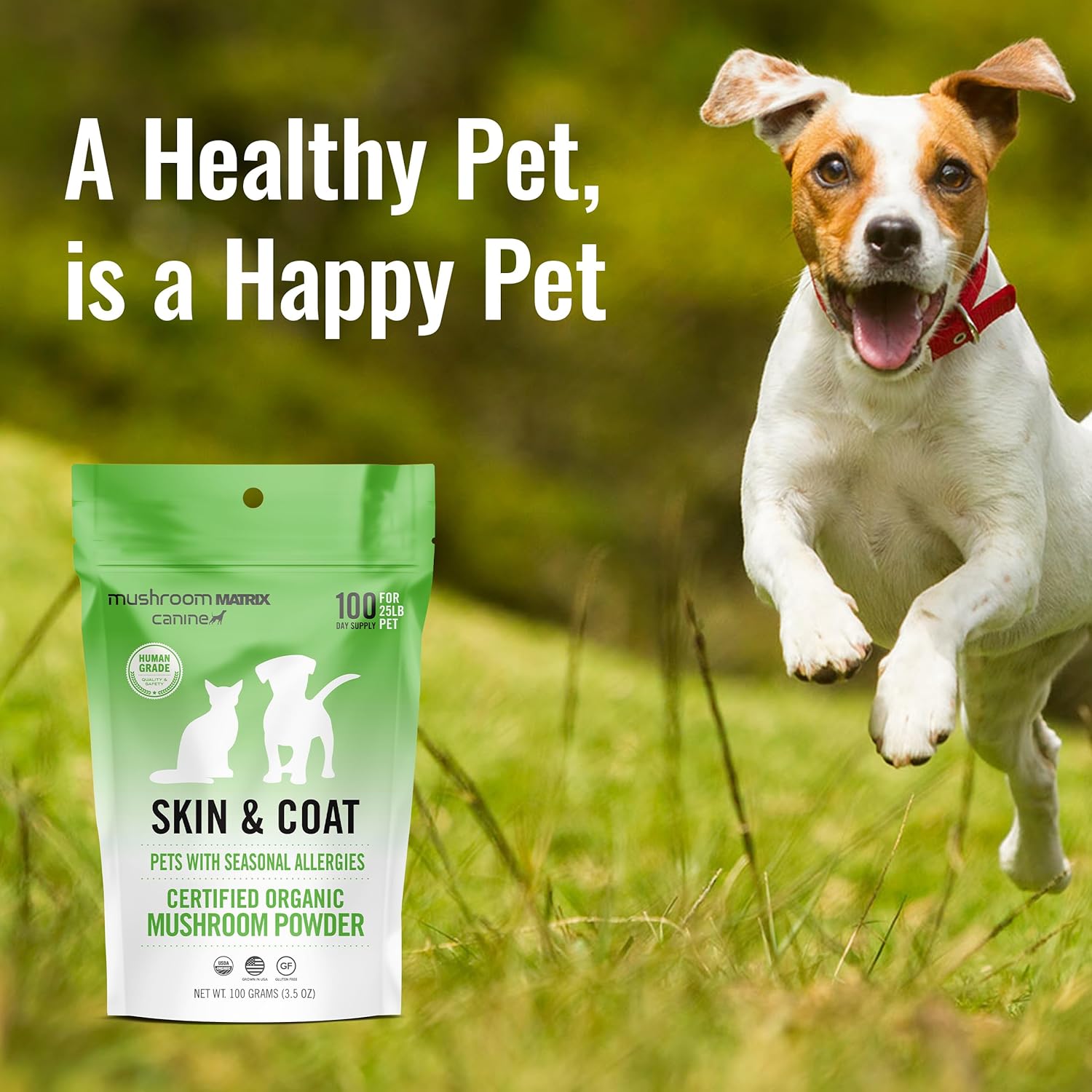 Om Mushroom Matrix Pet - Canine | Skin & Coat | Usa Grown Human-Grade Organic Mushroom Powder Pet Supplement | Seasonal Allergy Skin & Coat Support For Dogs & Cats | 100 Grams, 3.5 Oz : Pet Supplies