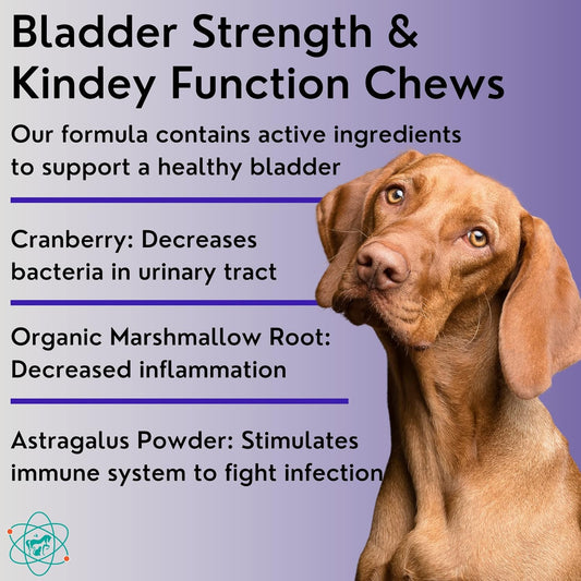 Bladder Strength Approx 55 Chews - Natural Dog UTI Treatment - Kidney Support for Dogs - Dog Cranberry Supplement - Senior Dog Incontinence Supplements - Made in The USA