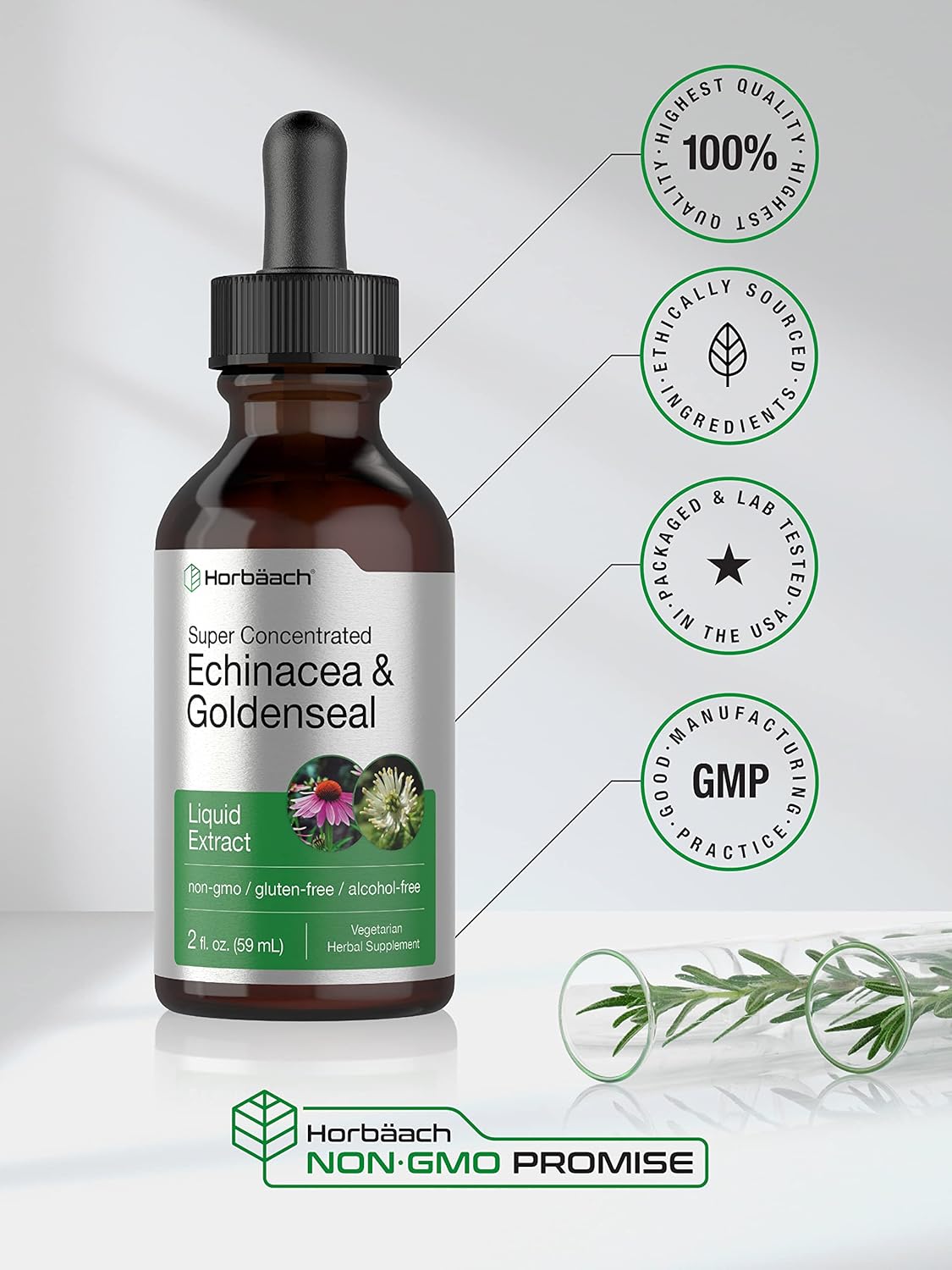 Horbäach Echinacea Goldenseal Liquid Extract | 2 fl oz | Alcohol Free Tincture Drops | Vegetarian, Non-GMO, Gluten Free : Health & Household