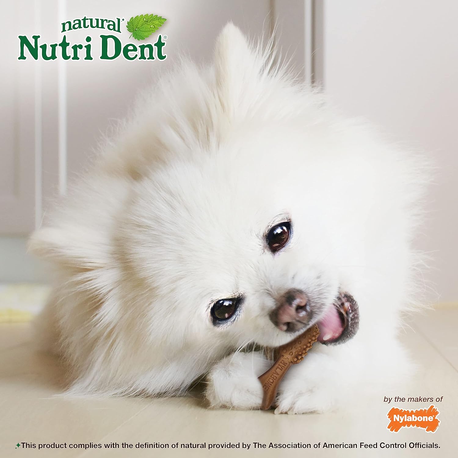 Nylabone Nutri Dent Dog Dental Treats - Natural Dog Teeth Cleaning & Breath Freshener - Dental Treats for Dogs - Filet Mignon Flavor, Mini (78 Count)