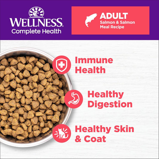 Wellness Complete Health Natural Dry Cat Food With Wholesome Grains, Made In Usa With Real Meat (Adult, Salmon & Salmon Meal Recipe, 5-Pound Bag)