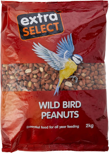 Extra Select Wild Bird Peanuts: High Grade, Protein Rich, Year Round Wild Bird Food Peanuts - Ideal for Winter Feed - 2kg?01PNB2