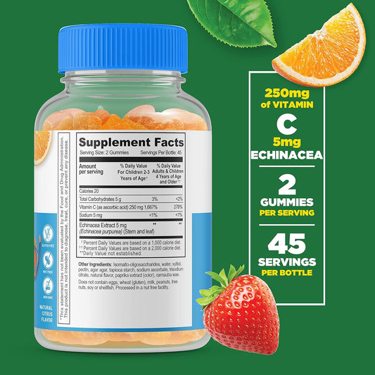 Lifeable Sugar Free Vitamin C for Kids ? 250 mg ? with Echinacea ? Great Tasting Natural Flavor Gummy Supplement ? Vegetarian GMO-Free Chewable Vitamin ? for Immune Support ? for Children ? 90 Gummies