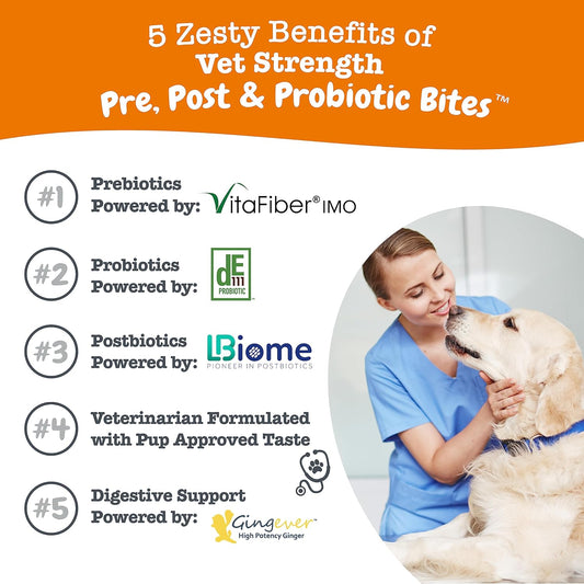 Zesty Paws Probiotics for Dogs - Digestive Enzymes for Gut Flora, Digestive Health, Diarrhea & Bowel Support - Clinically Studied DE111 - Dog Supplement Soft Chew for Pet Immune System - VS, 90 Count