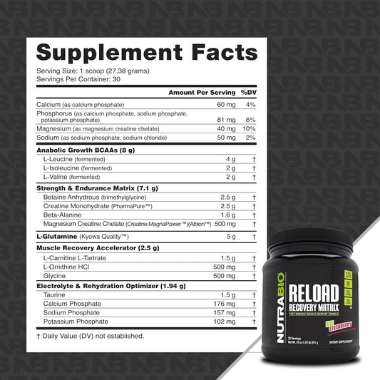 Nutrabio Reload - Powerful Muscular Recovery Formula - Post-Workout Supplement - 3G Creatine - 8G Bcaas - 5G Glutamine - 30 Servings, Grape Berry Crush