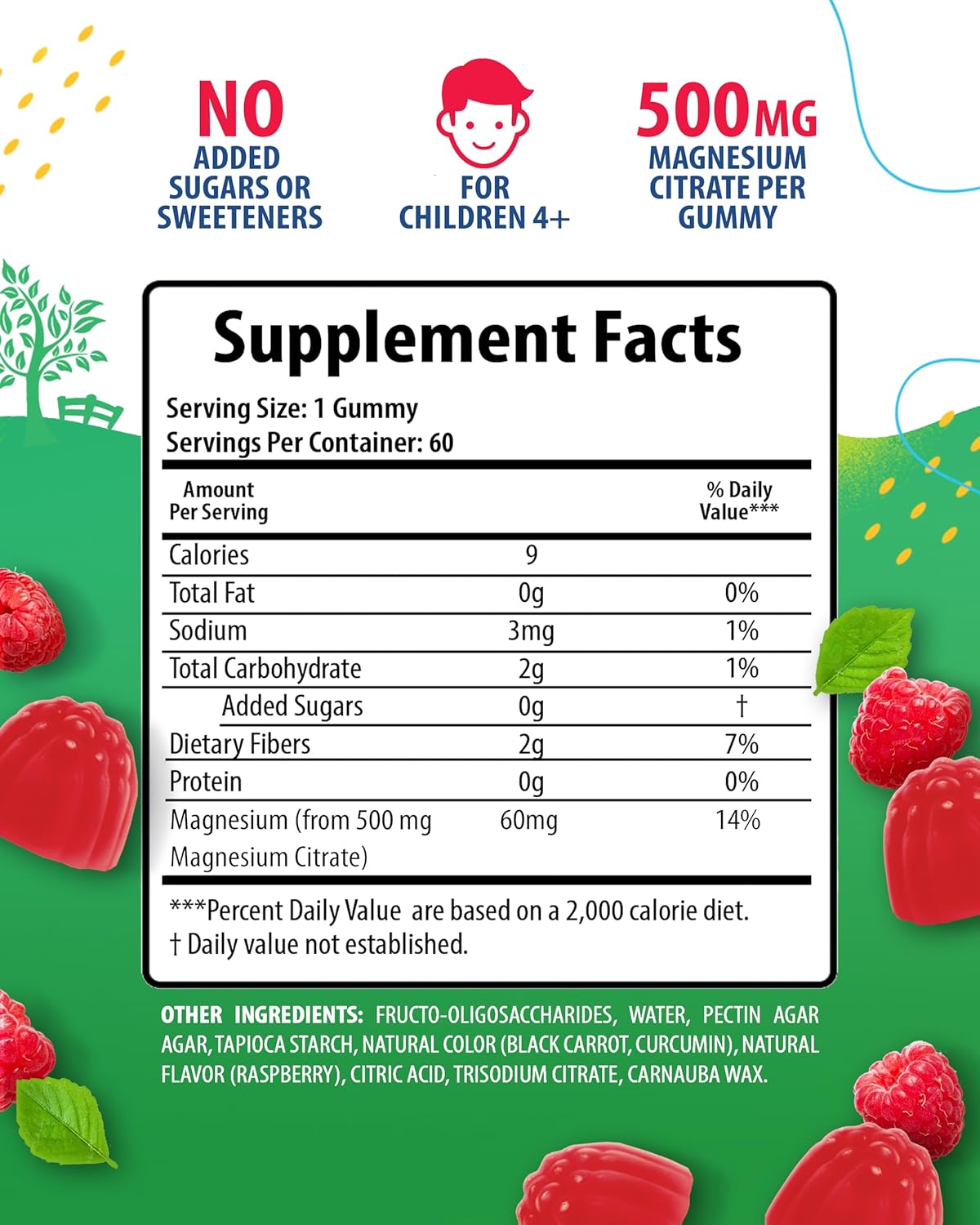 Sugar-Free Magnesium Gummies For Kids & Teens - 500Mg Calm Magnesium Citrate Gummies - Kids Magnesium Gummy - Chewable Magnesium Gummy Supplement For Sleep, Mood & Muscle Support - 2Pack : Health & Household