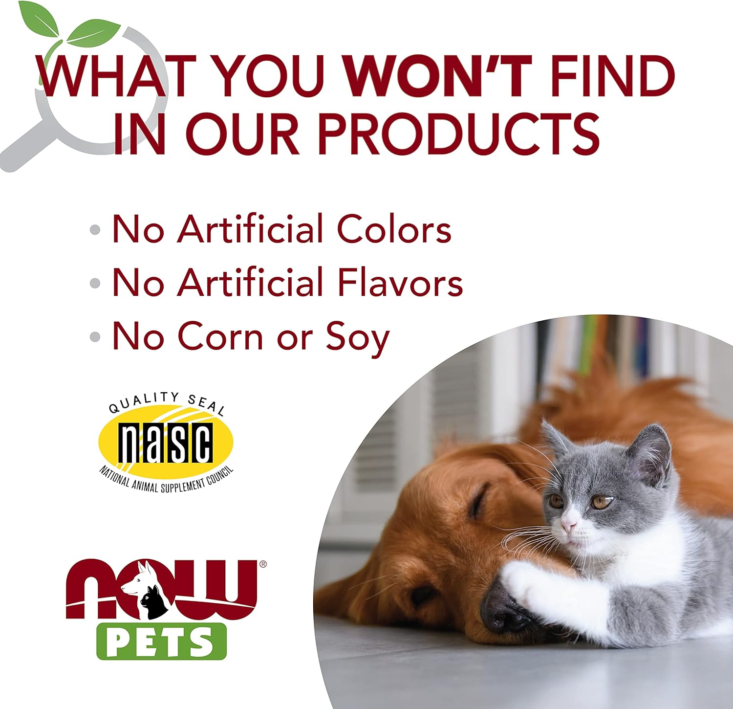NOW Foods Pet Health, Cardiovascular Support Supplement, Formulated for Cats & Dogs, NASC Certified, Powder, 4.5-Ounce : Pet Supplies