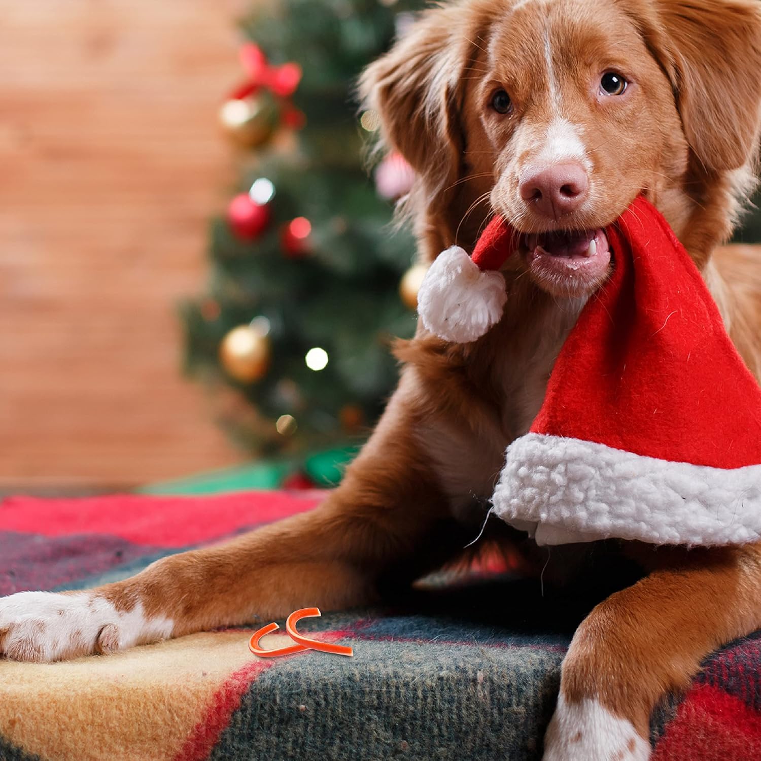 SmartBones Holiday Mini Canes, 30 Count, Made with Real Chicken, Rawhide-Free Chews for Dogs