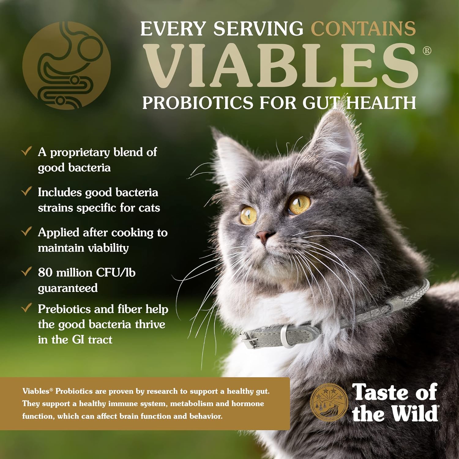 Taste Of The Wild High Protein Real Meat Recipes Premium Dry Cat Food With Superfoods And Nutrients Like Probiotics, Vitamins And Antioxidants For Adult Cats And Kittens : Pet Supplies