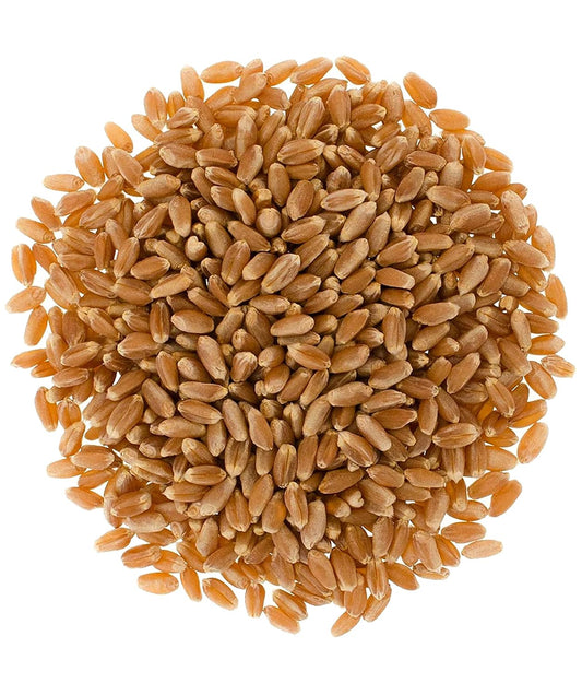 Hard Red Spring Wheat Berries | 4 LBS | Family Farmed in Washington State | 100% Desiccant Free | 4 LBS | Non-GMO | USA Grown | Field Traced | Resealable Kraft Bag