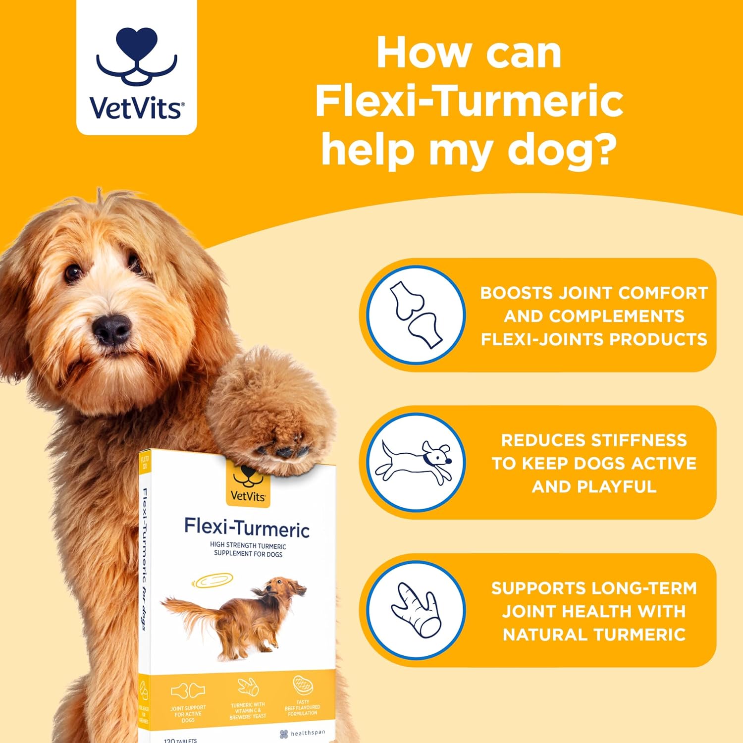 Vetvits by Healthspan Flexi-Turmeric For Dogs (120 Tablets) | Joint Support for Active Dogs | Vitamin C & Brewers’ Yeast | 400mg High-Grade Turmeric | Easy to Crumble on Food | Pet Health : Amazon.co.uk: Pet Supplies