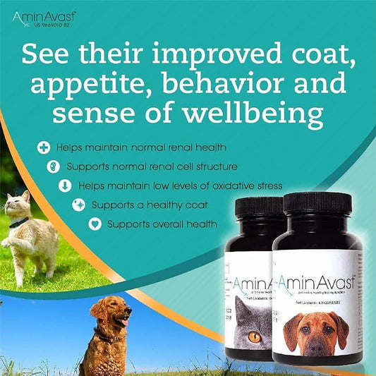 Small Dogs & Cat Kidney Support - Promotes Health Kidney Support In Cats & Small Dogs - 300Mg, 60 Capsule