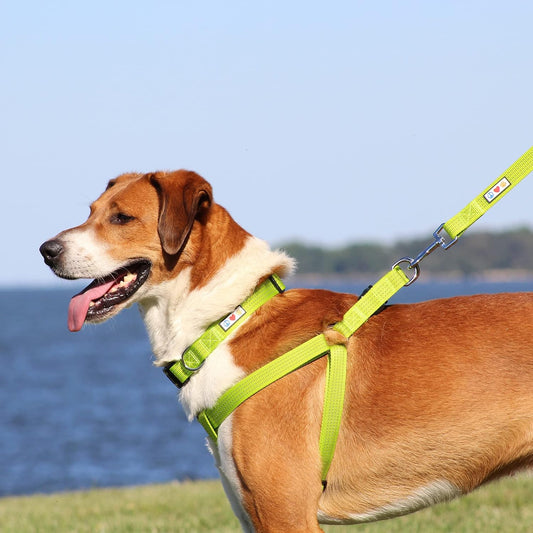 Pawtitas Extra Small Dog Harness Reflective Dog Harness Adjustable Puppy Harness XS Pink Dog Harness?PAW-0576