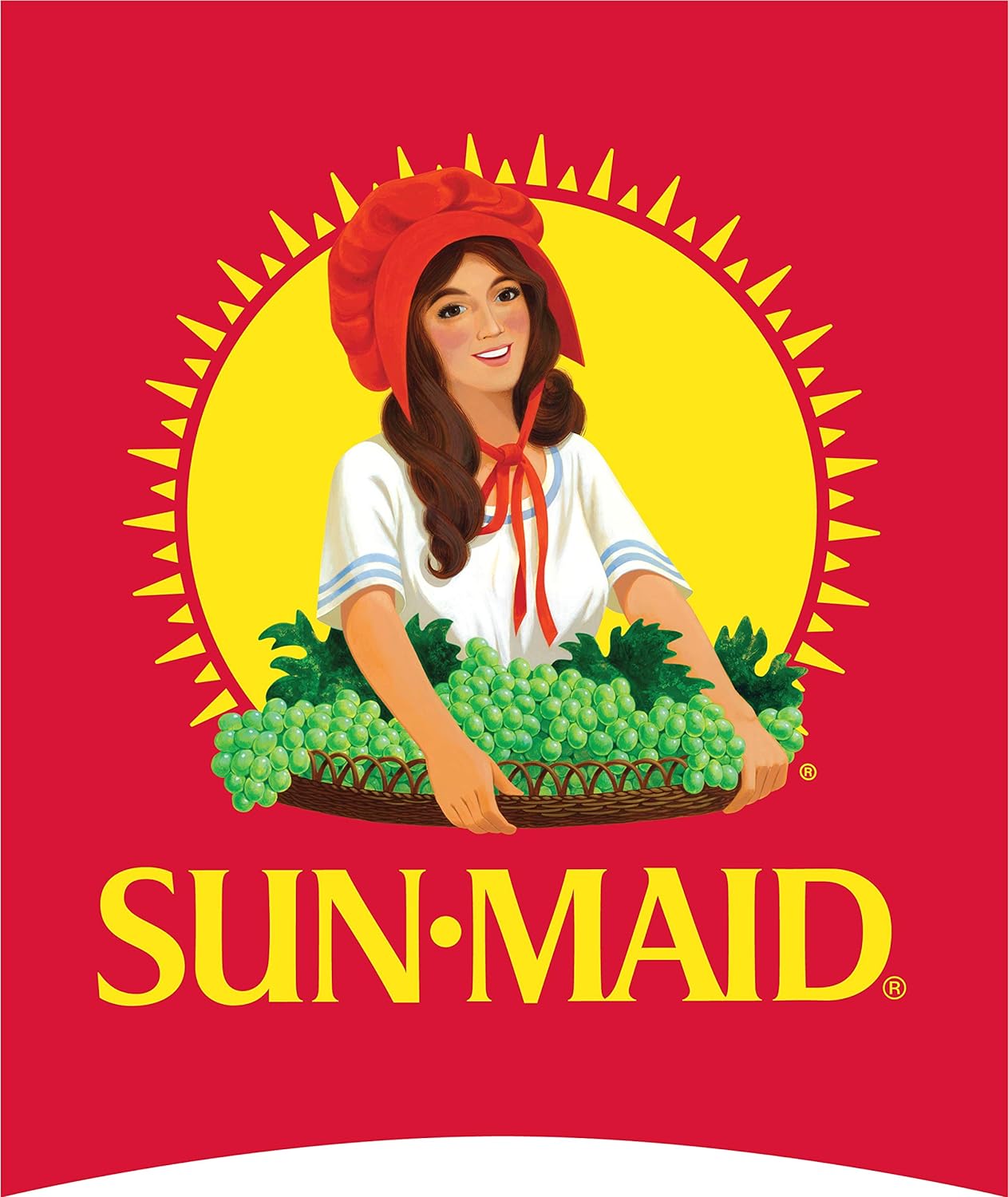 Sun-Maid California Sun-Dried Raisins - 13 oz Resealable Canister - Dried Fruit Snack for Lunches, Snacks, and Natural Sweeteners : Raisins Produce : Everything Else