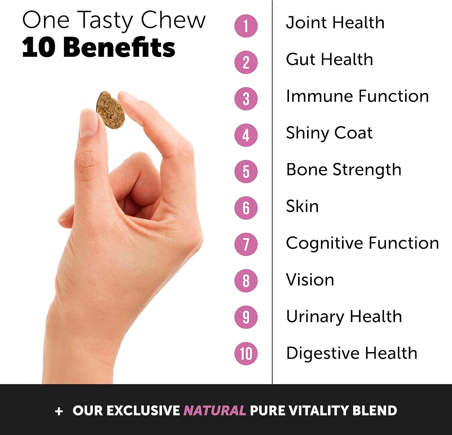 PetHonesty Digestive Probiotics for Dogs + 10 in 1 Multivitamin Soft Chew Supplement Bundle - Dog Vitamins - Probiotics, Pumpkin, Digestive Enzyme for Dogs, Dog Vitamins for Overall Health : Pet Supplies
