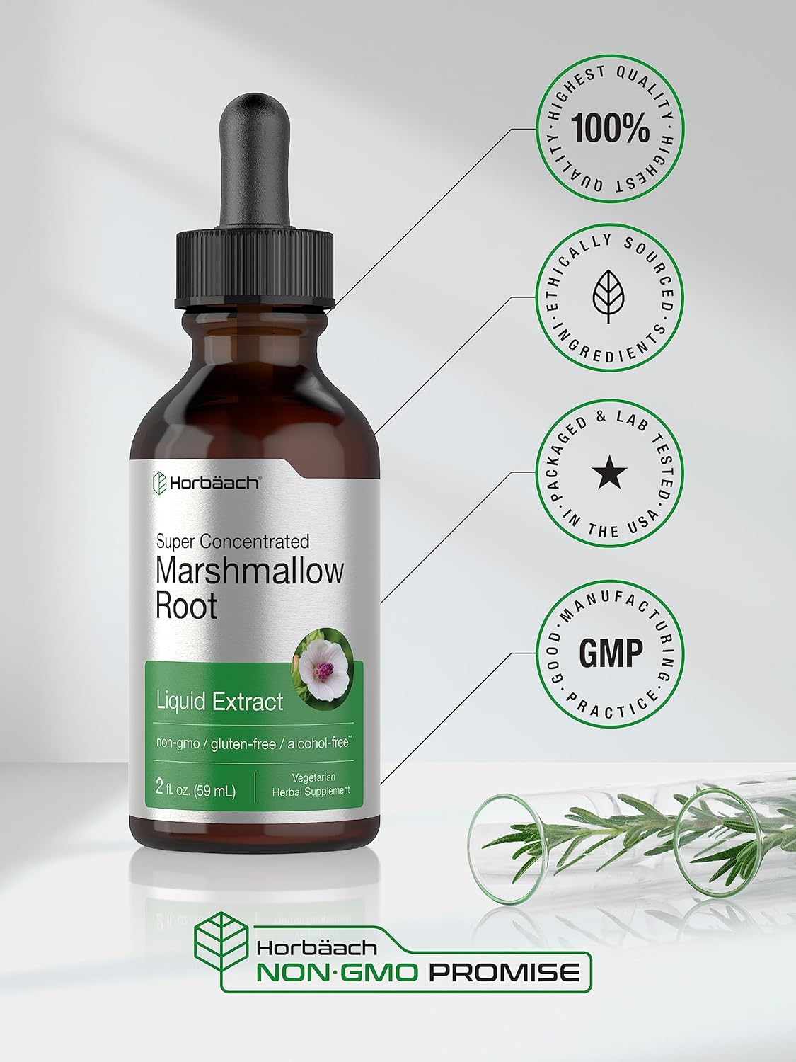 Horbäach Marshmallow Root Extract Tincture | 2 fl oz | Althaea Officinalis Liquid | Alcohol Free | Vegetarian, Non-GMO & Gluten Free : Health & Household