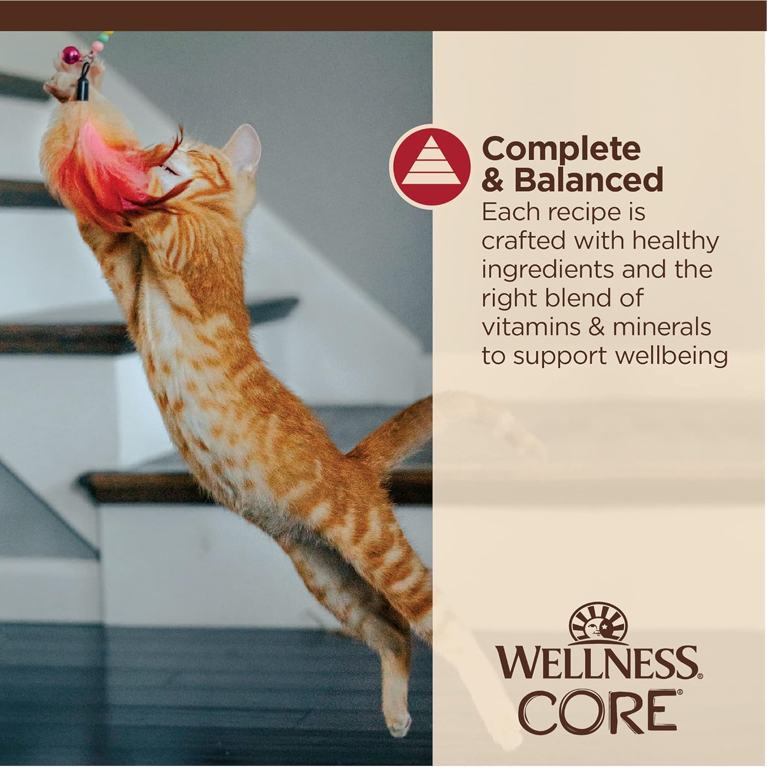 Wellness CORE Tiny Tasters Wet Cat Food, Complete & Balanced Natural Pet Food, Made with Real Meat, 1.75-Ounce Pouch, 12 Pack (Adult Cat, Minced Chicken & Beef in Gravy) : Grocery & Gourmet Food