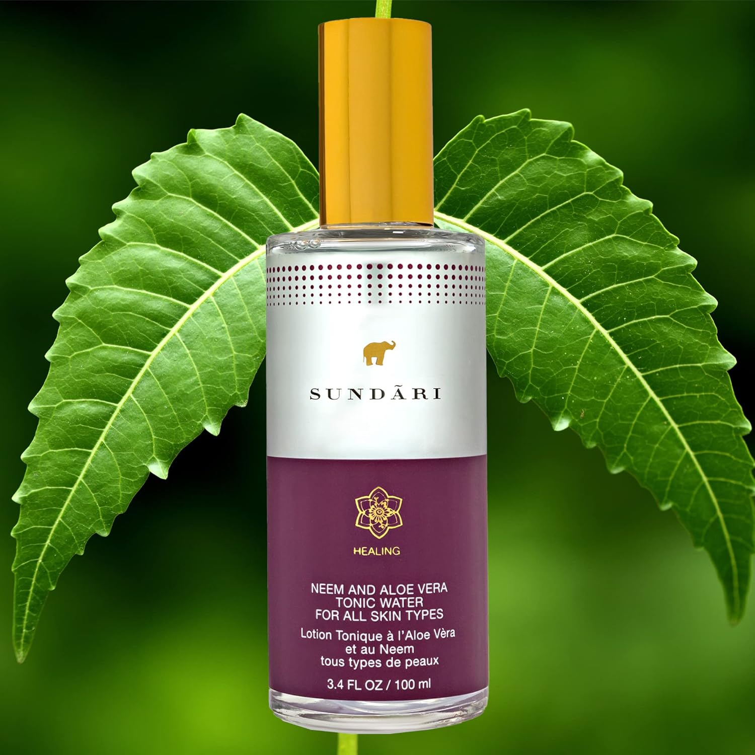 Sundari Neem And Aloe Vera Tonic Water, 3.4 Fl Oz, Freshening Mist For Skin Hydration, Non-Staining, Rapid Absorption, Alcohol-Free, Dewy Fresh Feel : Beauty & Personal Care