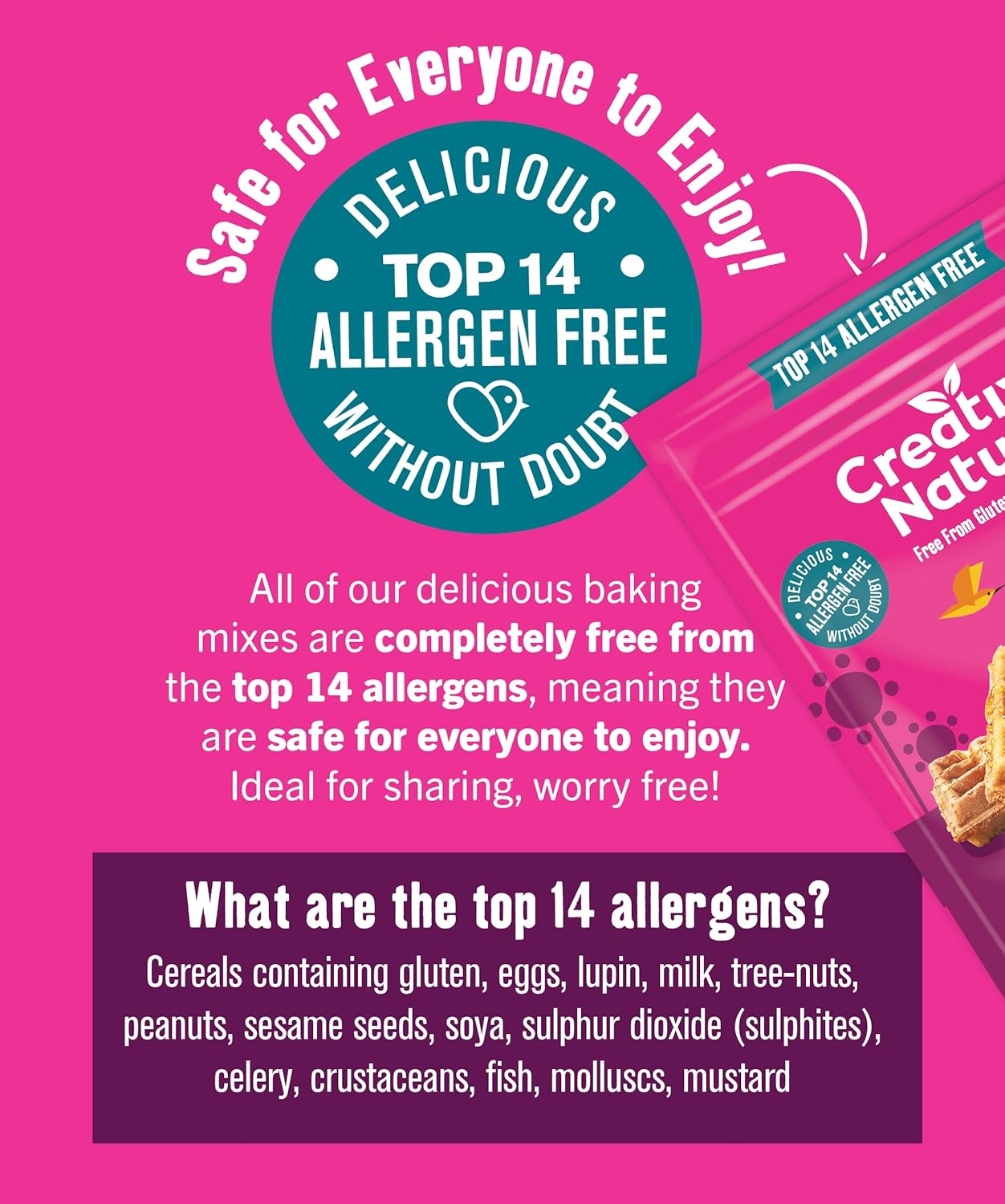Gluten Free Pancake & Waffle Mix (2 x 266g) | Creative Nature Vegan Pancake Mix | Nut Free, Dairy Free | Top 14 Allergen Free | 2 Pack : Amazon.co.uk: Grocery