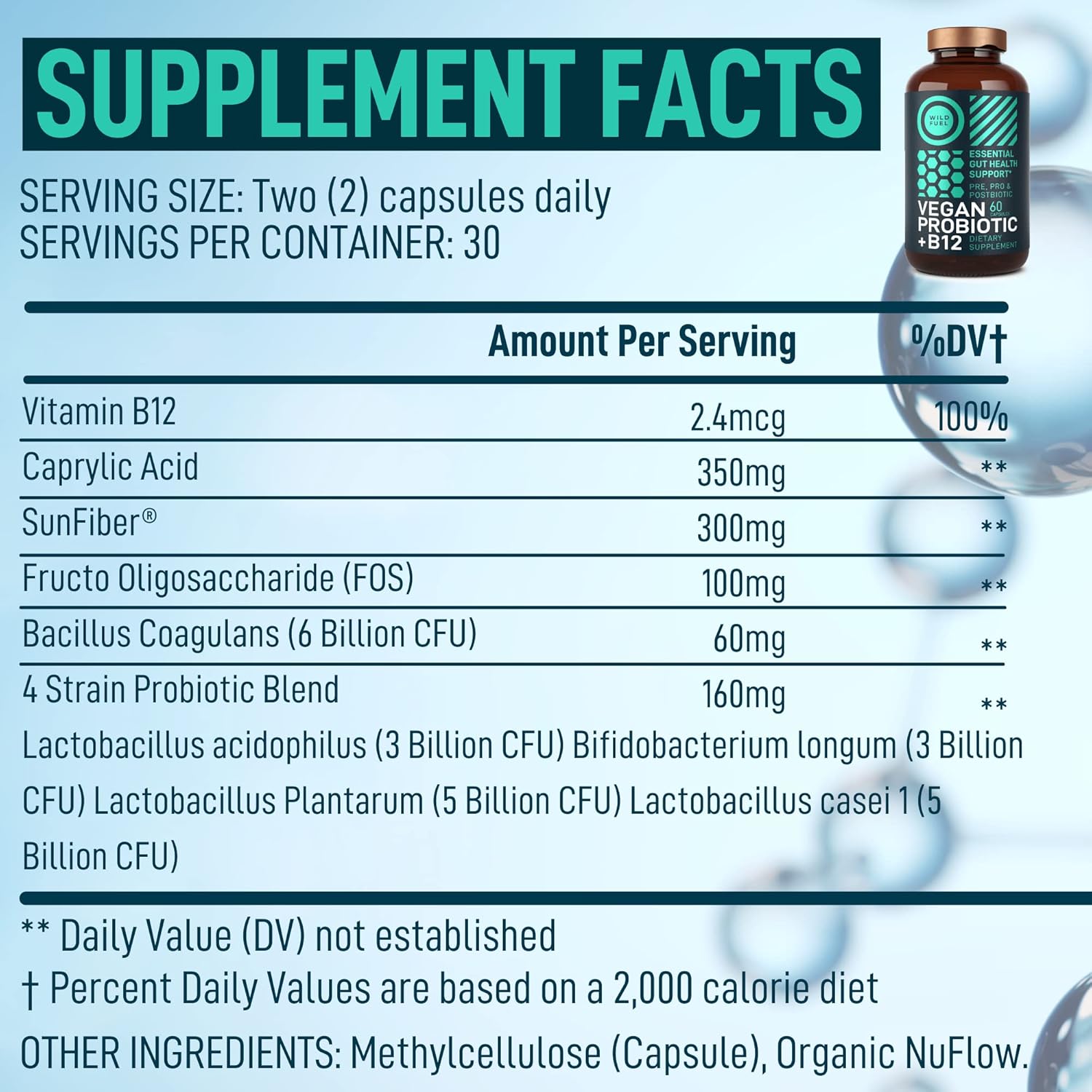 Vegan Probiotic Plus B12-22 Billion Cfu Synbiotics Prebiotics And Probiotics For Digestive Health, Ibs, Mood Support - B12 With Fos Pre Pro Post Biotics For Women & Men - 60 Gluten-Free Capsules