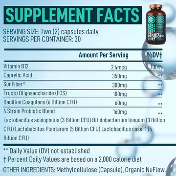 Vegan Probiotic Plus B12-22 Billion Cfu Synbiotics Prebiotics And Probiotics For Digestive Health, Ibs, Mood Support - B12 With Fos Pre Pro Post Biotics For Women & Men - 60 Gluten-Free Capsules