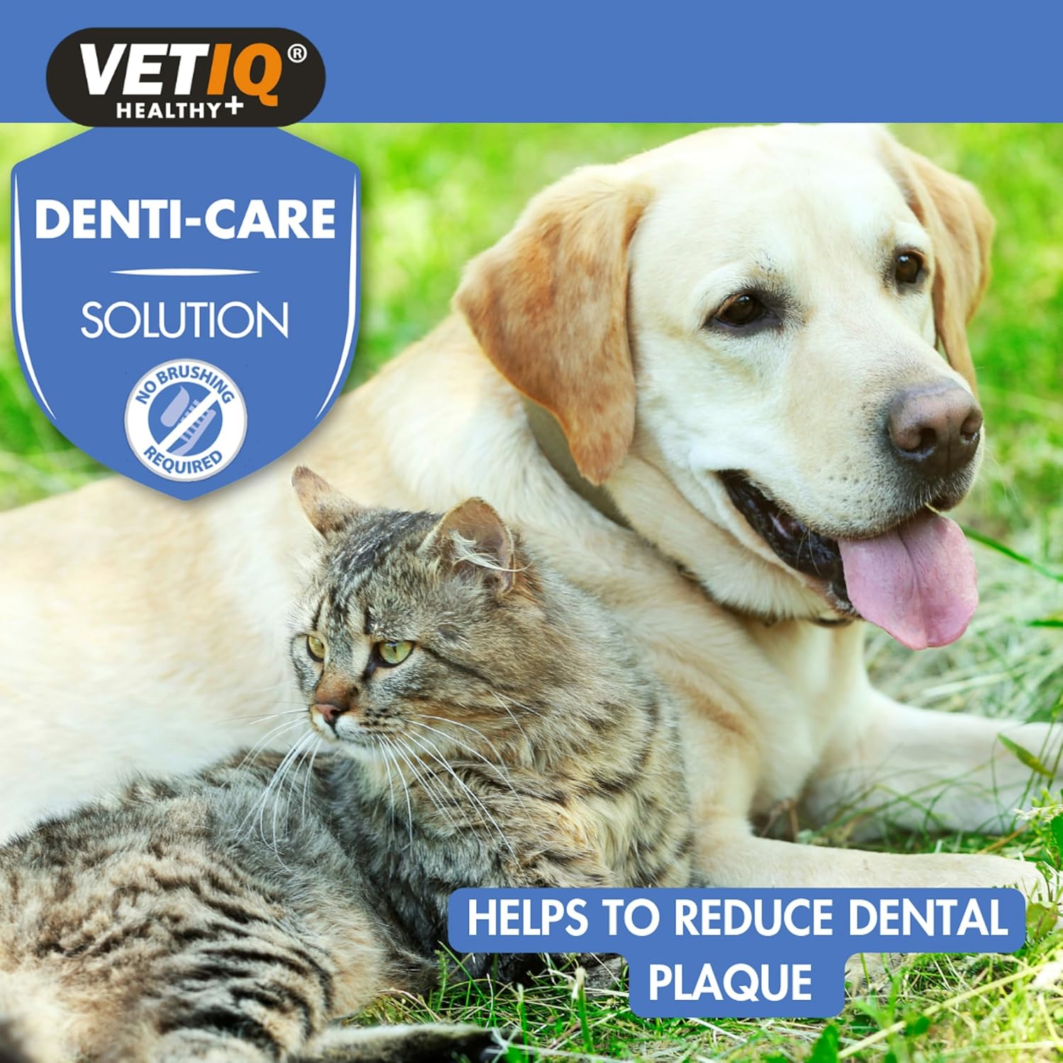 VETIQ Denti-Care Solution For Cats & Dogs, Simply Add to Drinking Water to Reduce Dental Plaque and Freshen Bad Breath, 250 ml :Beauty