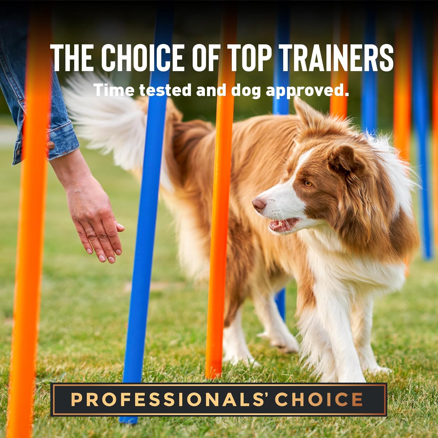 Cloud Star Tricky Trainers Soft & Chewy Dog Training Treats 14 oz Pouch, Cheddar Flavor, Low Calorie Behavior Aid with 360 treats : Pet Snack Treats : Pet Supplies