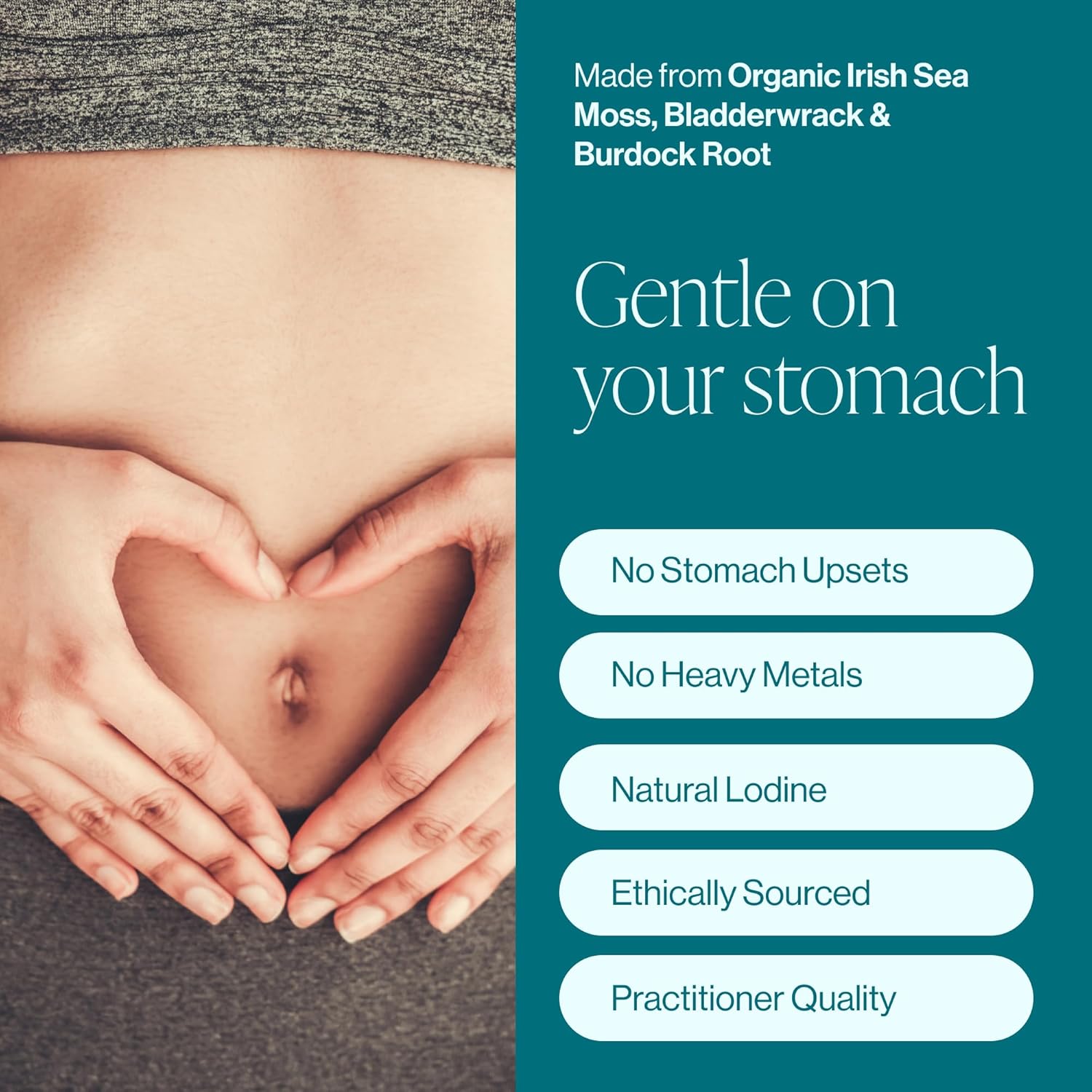 Pure Micronutrients Irish Sea Moss Capsules - Organic Irish Seamoss Pills With Bladderwrack, Burdock & Black Pepper For Energy, Immunity, Thyroid, Digestion, Heart And Bone Health : Health & Household