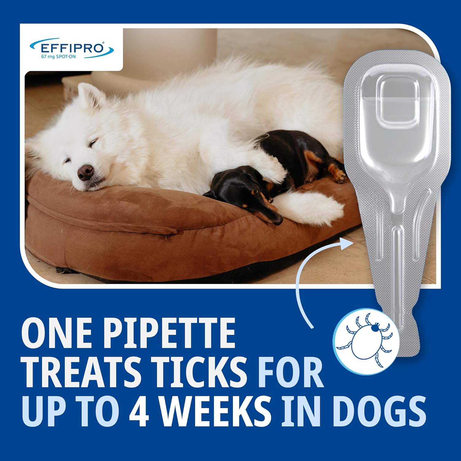 Effipro Flea & Tick Spot-On For Medium Dogs 10-20Kg | Fast-Acting | 4 Pipettes | Vet-Strength Formula | Easy To Apply
