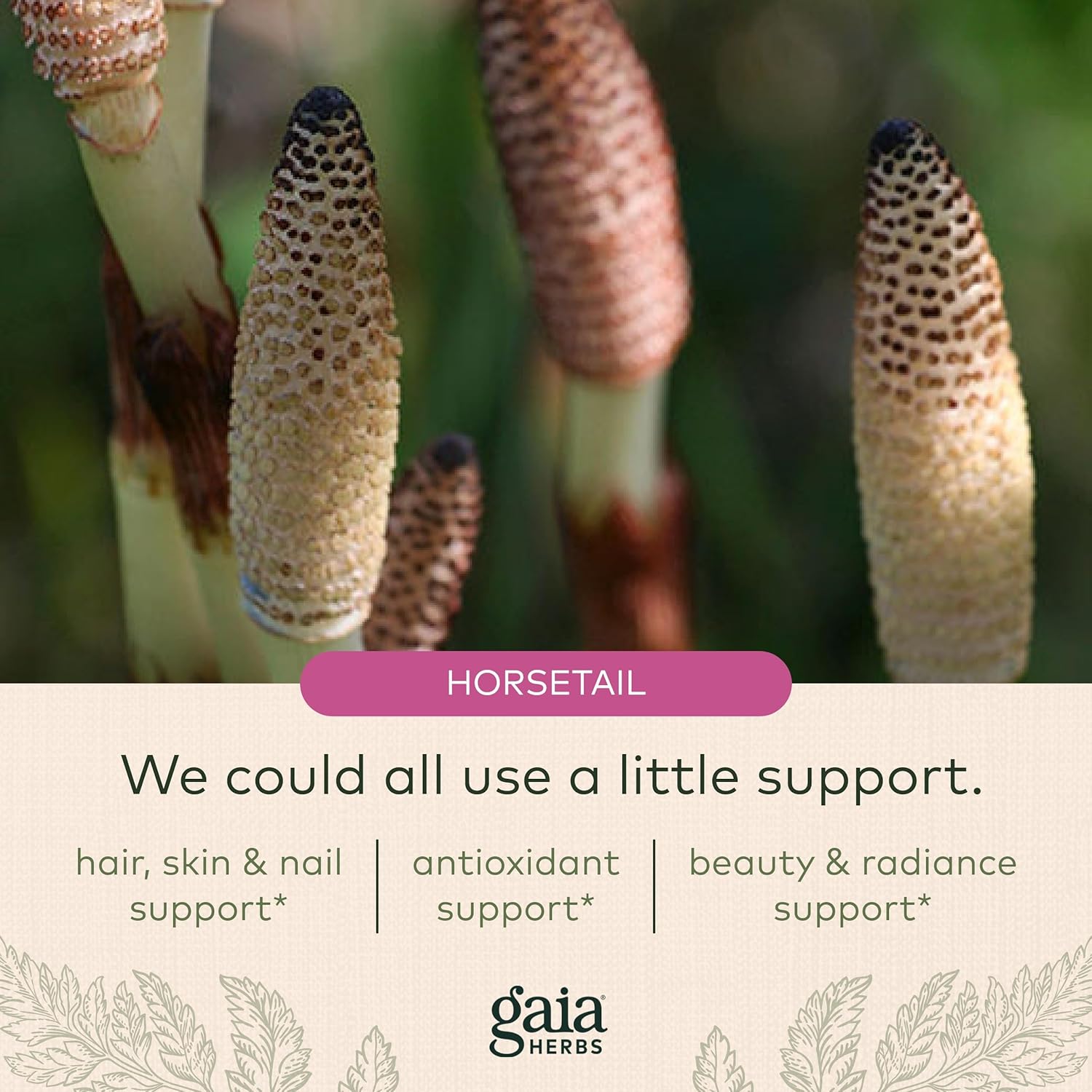 Gaia Herbs Hair, Skin & Nail Support - Helps Promote Healthy Skin, Hair Growth & Nail Growth - with Horsetail, Alfalfa, Burdock, Gotu Kola & Nettle - 60 Vegan Liquid Phyto-Capsules (15-Day Supply) : Health & Household