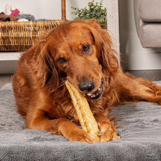 Pet Factory Carechewz Collagen +Plus 9" Rovers Dog Chew Treats - Chicken Flavor, 3 Count/1 Pack