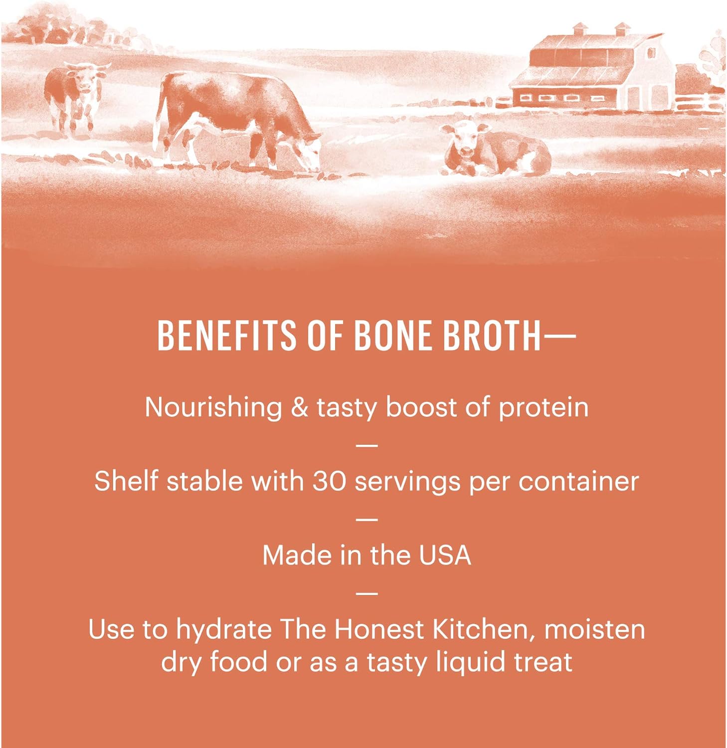 The Honest Kitchen Daily Boosters: Instant Beef Bone Broth with Turmeric for Dogs, 3.5g Sachets, Pack of 12 : Pet Supplies