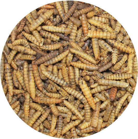 Bulk Dried Black Soldier Fly Larvae (5Lb) - High-Calcium Insect Treat - Chickens, Wild Birds, Hedgehogs, Bluebirds, Reptiles, Sugar Gliders, Opossums, Skunks, Lizards, Bearded Dragon, Fish