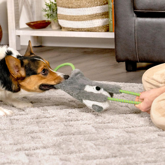 Pet Factory Logical Pet Rope Tug Plush Squeaky Dog Toy, Randomly Selected - Panda Or Sloth, One Size