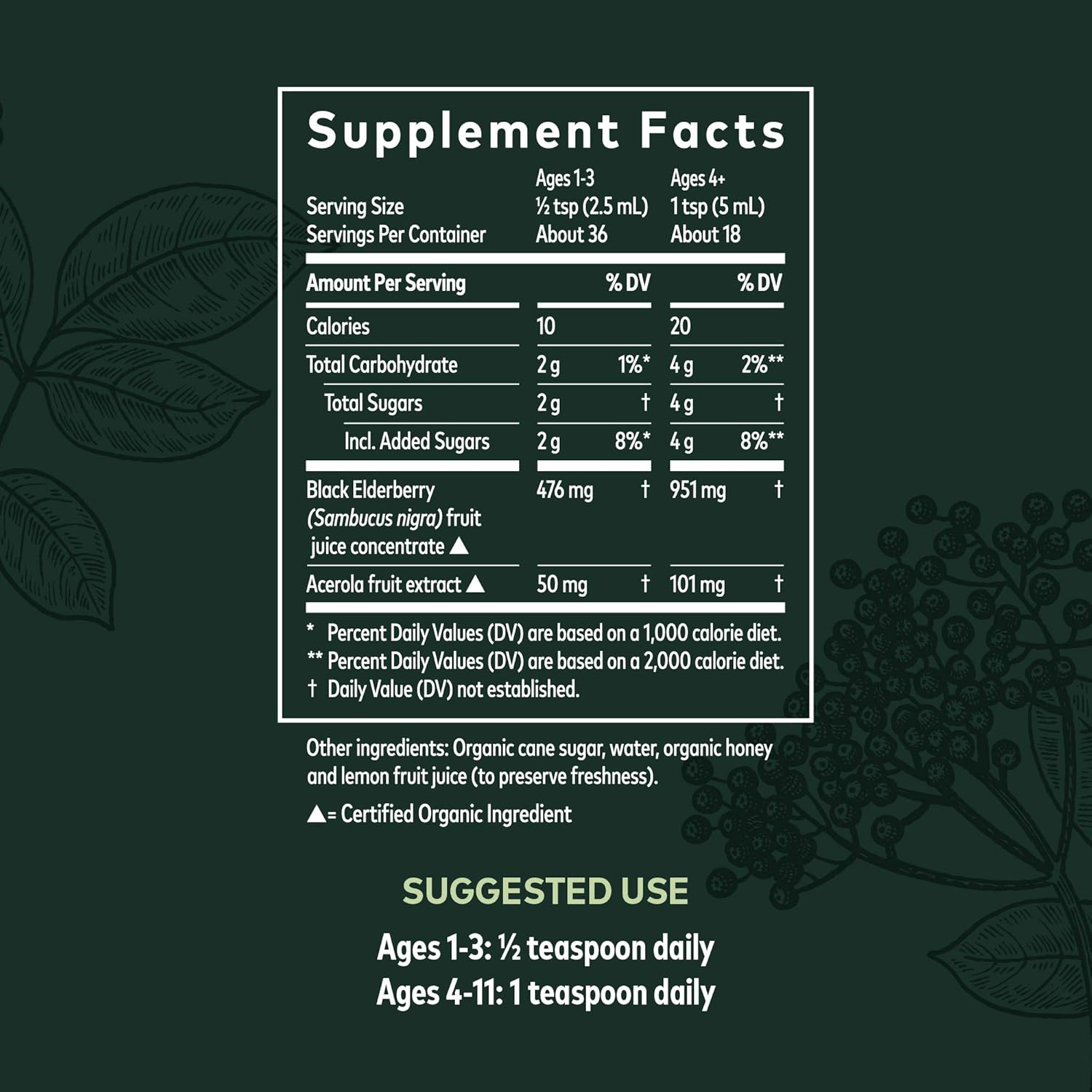 Gaia Herbs GaiaKids Black Elderberry Syrup - Delicious Immune Support Supplement for Kids - with Organic Black Elderberries and Honey - USDA Certified Organic Black Elderberry Syrup - 3  s
