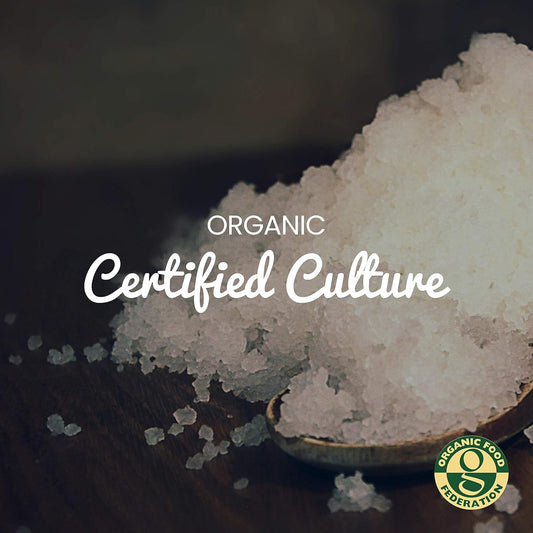 Freshly Fermented – Organic & Vegan Ginger Beer Starter Culture, Ginger Beer Plant Style