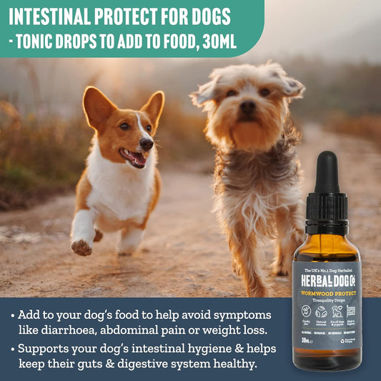 Herbal Dog Co Wormwood for Dogs Tonic, 30ml - Natural Worming Treatment for Dogs & Puppies - Alternative to Dog Worming Tablets - All-Natural, Vegan, Made in UK