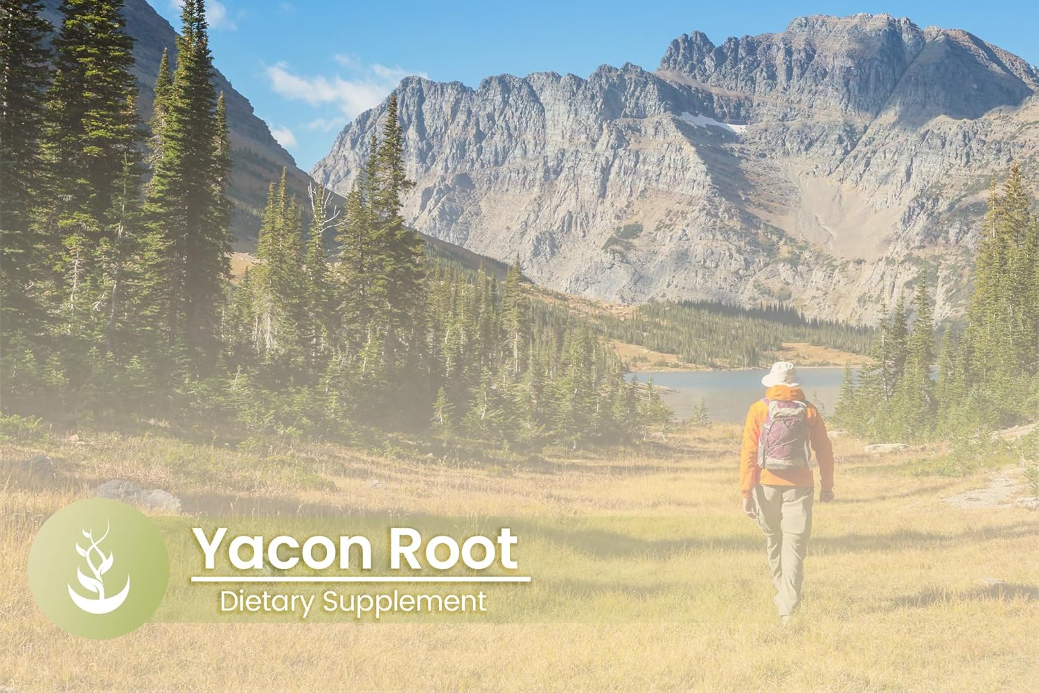 PURE ORIGINAL INGREDIENTS Yacon Root, (100 Capsules) Always Pure, No Additives Or Fillers, Lab Verified : Health & Household