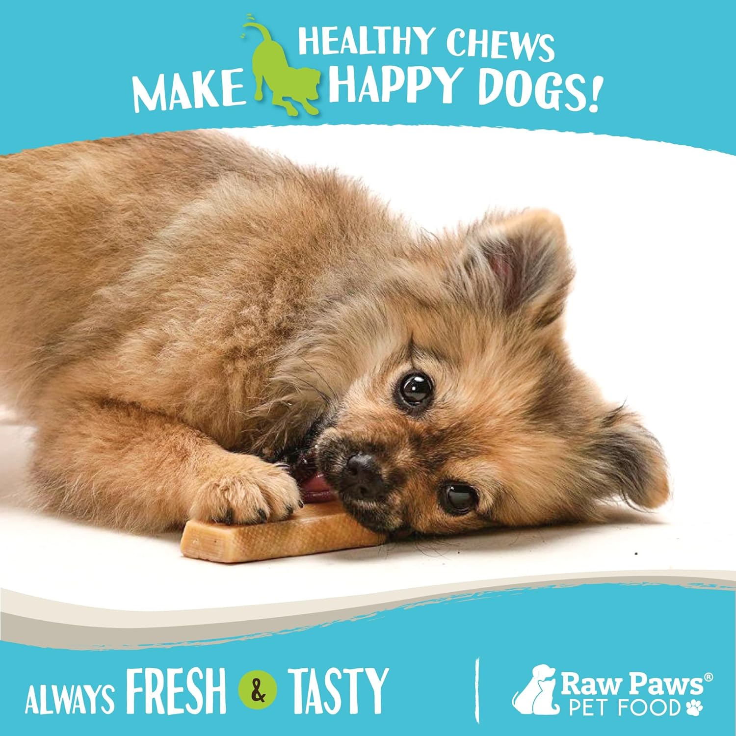 Raw Paws Himalayan Yak Chews for Dogs, Small Chews (10-Count) - Himalayan Cheese for Small Dogs - Yak Bones for Dogs - Yak Milk Bones for Dogs - Dog Cheese Chews Himalayan - Yak Chews for Small Dogs : Pet Supplies