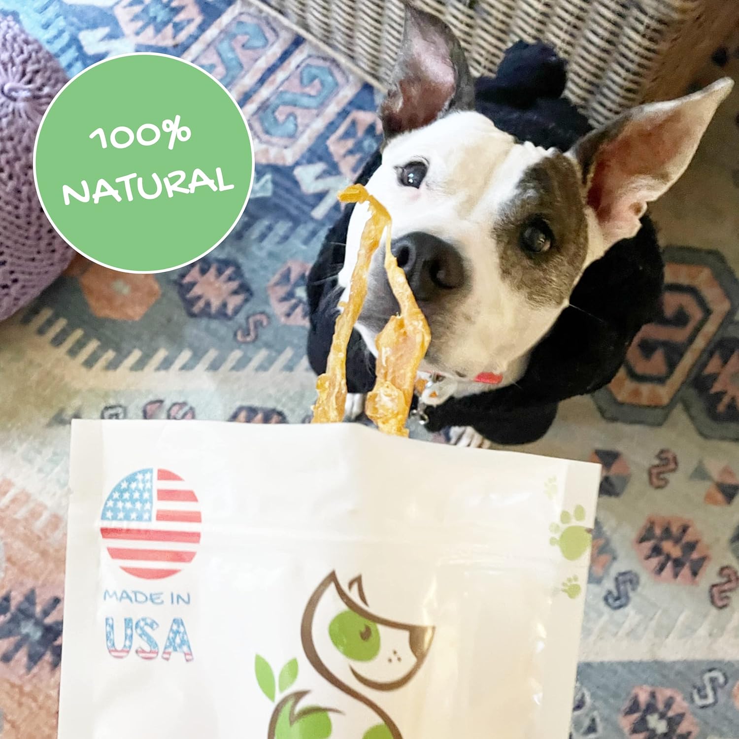 Nature Gnaws USA Turkey Tendons for Dogs (1Lb) - Delicious Grain Free Reward Snack for Small, Medium & Large Breeds - Premium Natural Dog Chew Treats : Pet Supplies